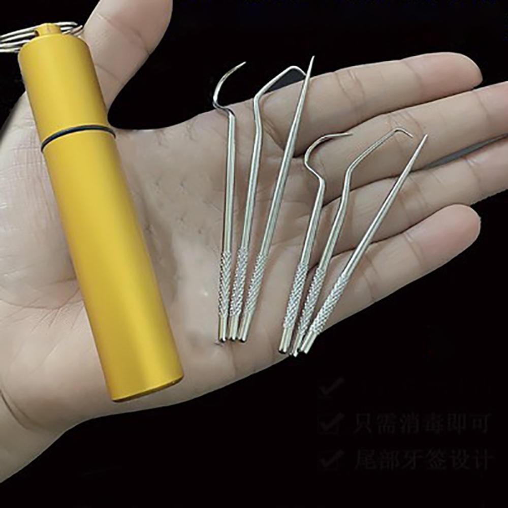 1 Set Toothpick Set Metal Stainless Steel Oral Cleaning Tooth Flossing Portable Toothpick Floss Teeth Cleaner with Storage Tube