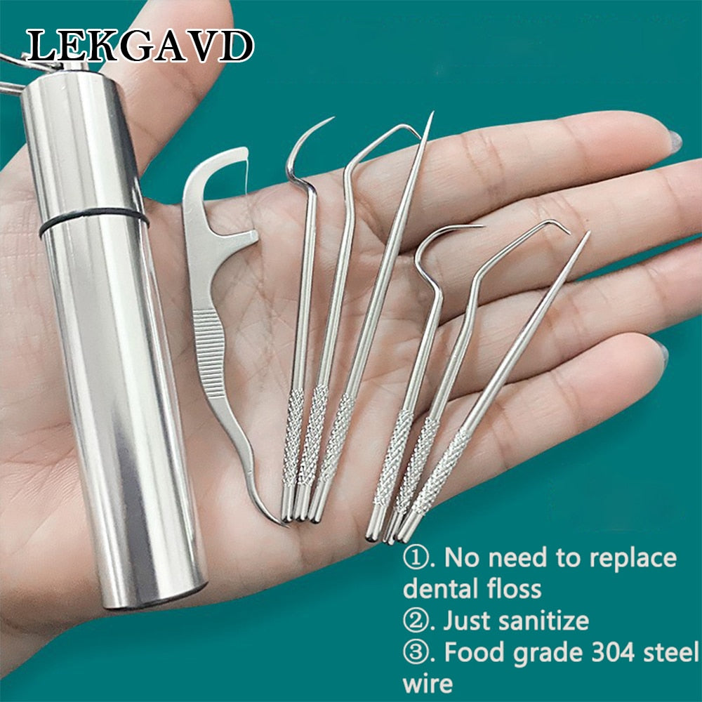 1 Set Toothpick Set Metal Stainless Steel Oral Cleaning Tooth Flossing Portable Toothpick Floss Teeth Cleaner with Storage Tube