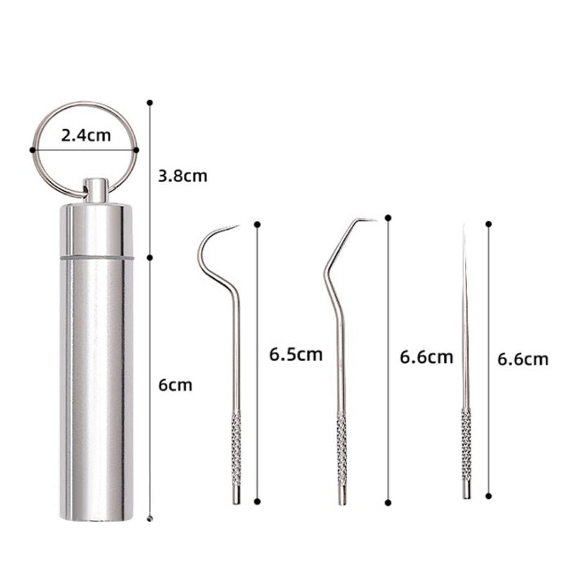 1 Set Toothpick Set Metal Stainless Steel Oral Cleaning Tooth Flossing Portable Toothpick Floss Teeth Cleaner with Storage Tube