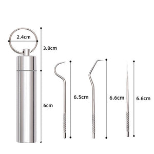 1 Set Toothpick Set Metal Stainless Steel Oral Cleaning Tooth Flossing Portable Toothpick Floss Teeth Cleaner with Storage Tube