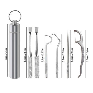 1 Set Toothpick Set Metal Stainless Steel Oral Cleaning Tooth Flossing Portable Toothpick Floss Teeth Cleaner with Storage Tube