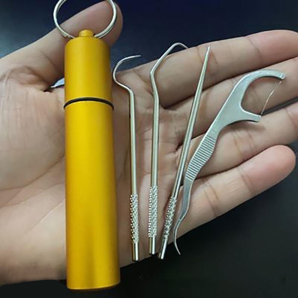 1 Set Toothpick Set Metal Stainless Steel Oral Cleaning Tooth Flossing Portable Toothpick Floss Teeth Cleaner with Storage Tube