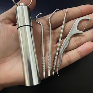 1 Set Toothpick Set Metal Stainless Steel Oral Cleaning Tooth Flossing Portable Toothpick Floss Teeth Cleaner with Storage Tube